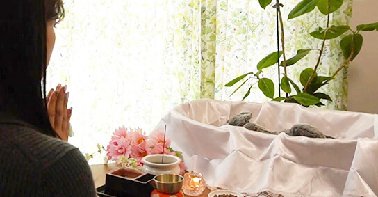 ご家族立ち会いのもとペットちゃんをお見送りするプランです