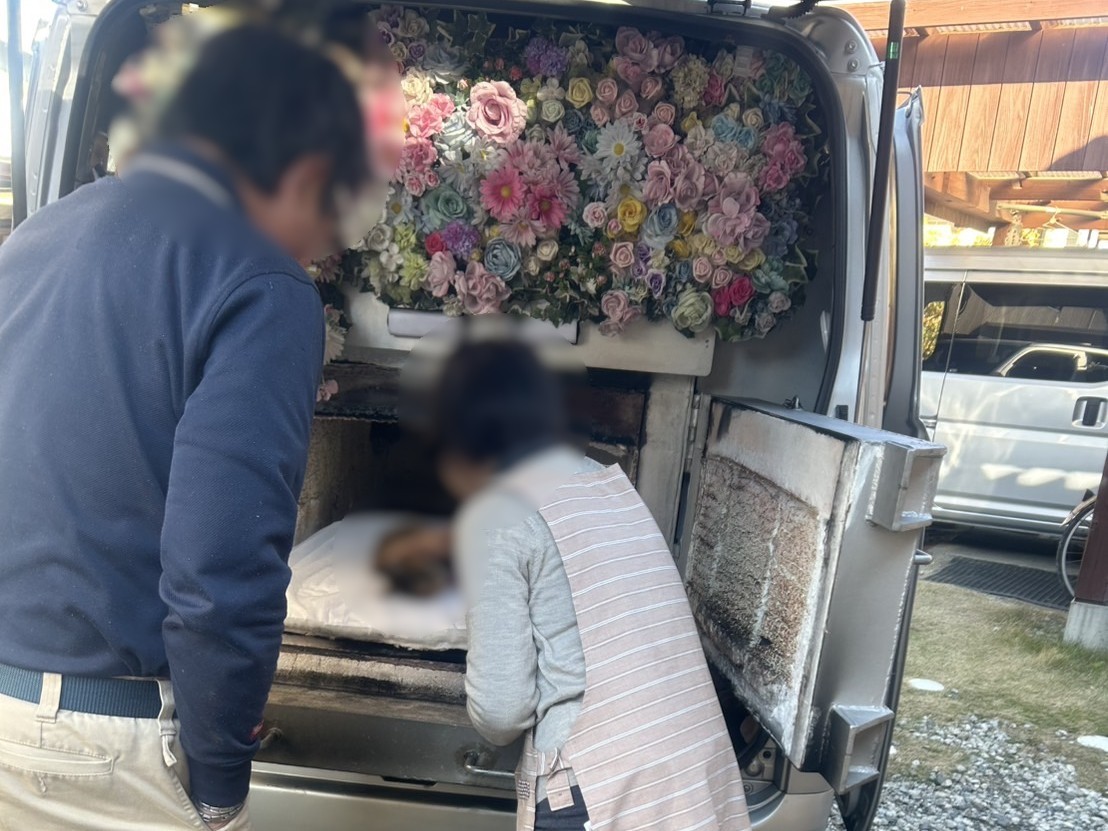 「牧之原市で仲間思いだった猫ちゃんをお見送りしました」写真